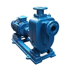 משאבת נירוסטה עצמית